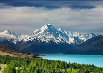 A Guide to New Zealand 
