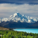 A Guide to New Zealand 