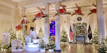 The Art of Decorations: Transforming Spaces with Elegance and Style
